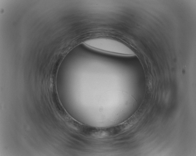 X0000062880551200601131039