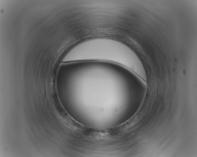 X0000062880552200601131039