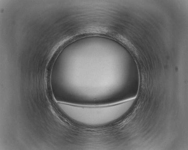 X0000062880580200601131039
