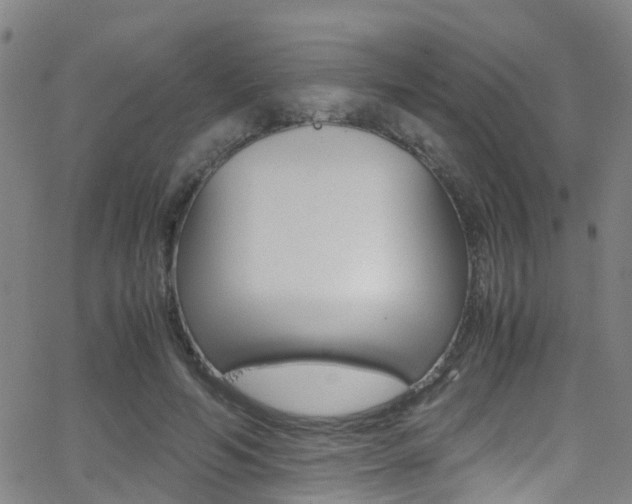 X0000062880594200601131039
