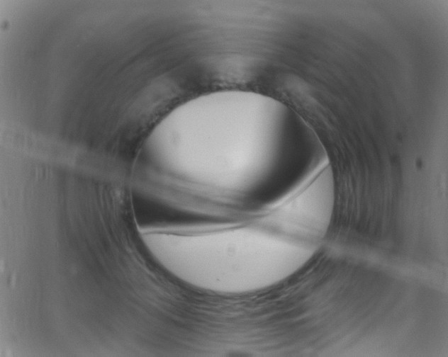 X0000062880608200601131038