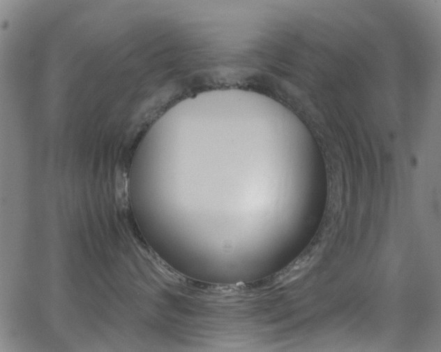 X0000062880624200601131038