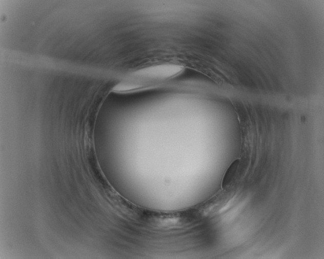 X0000062880651200601131038