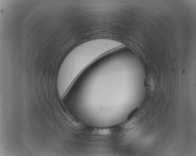 X0000062880665200601131038