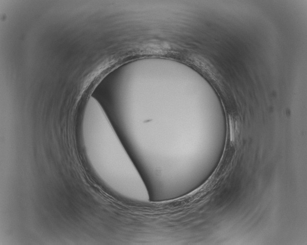 X0000062880675200601131037