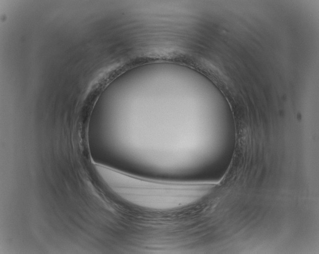 X0000062880688200601131037