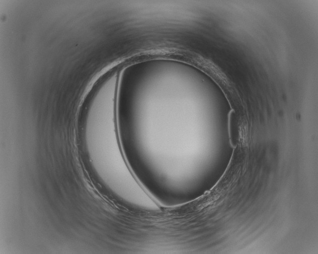 X0000062880724200601131036