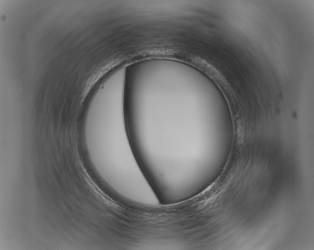 X0000062880725200601131036