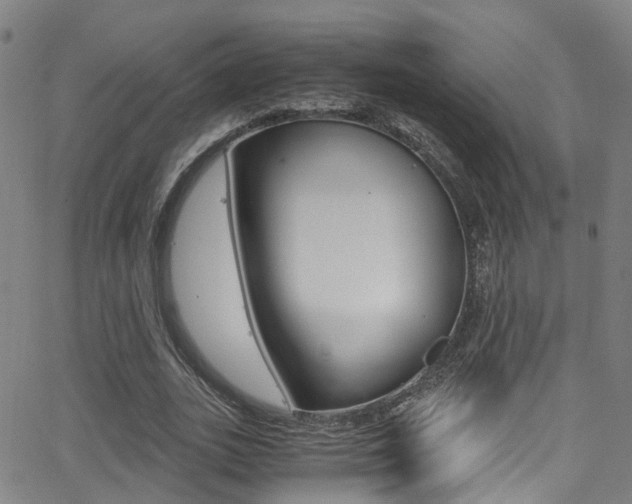 X0000062880727200601131036