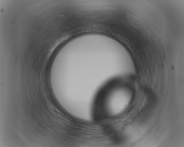 X0000062880731200601131036