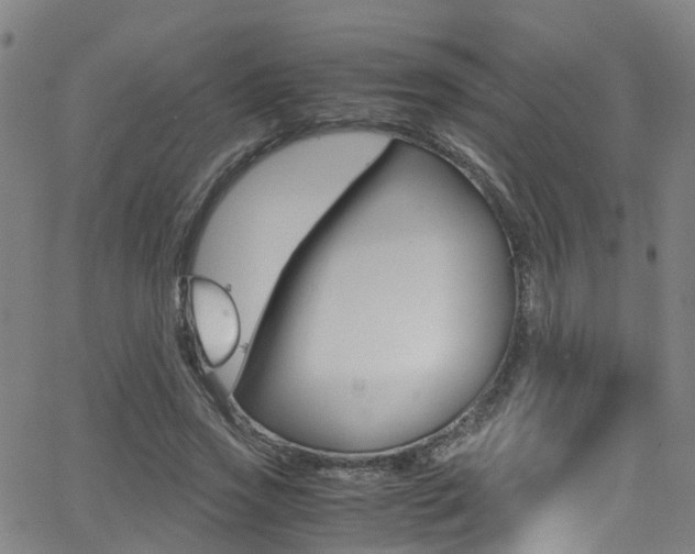 X0000062880733200601131036