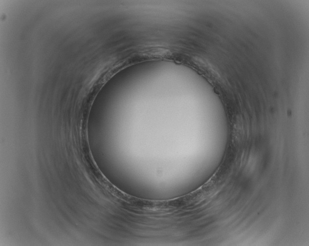 X0000062880739200601131036