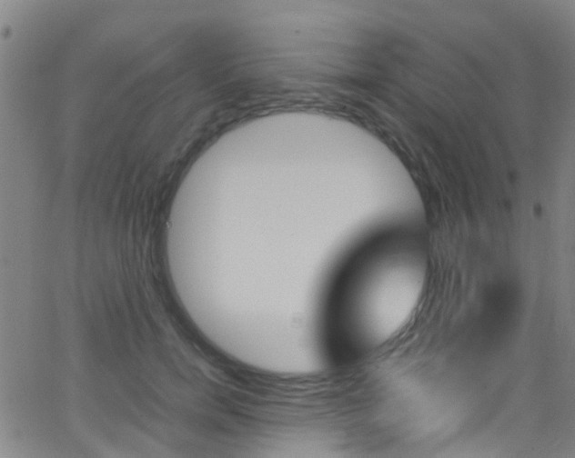 X0000062880750200601131036