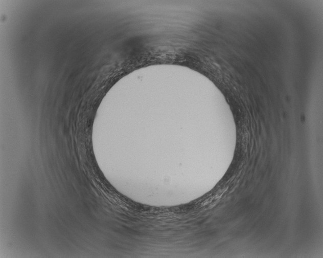 X0000062880769200601131036