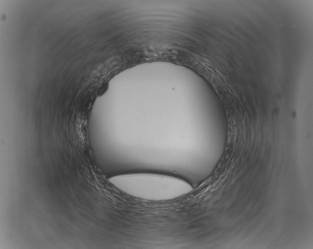 X0000062880770200601131036
