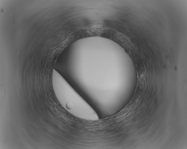 X0000062880772200601131036