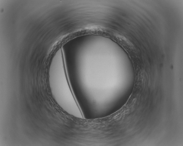 X0000062880776200601131036