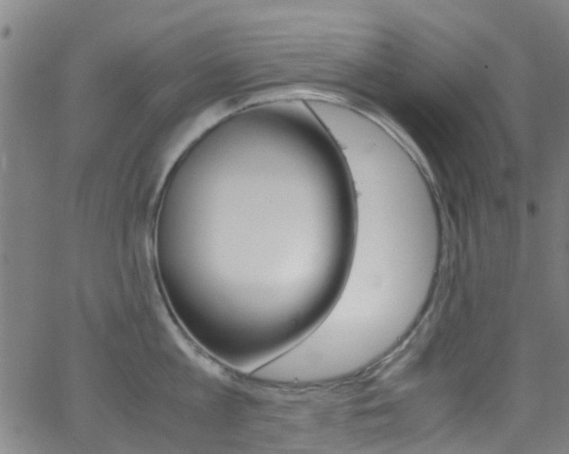 X0000062880813200601131035