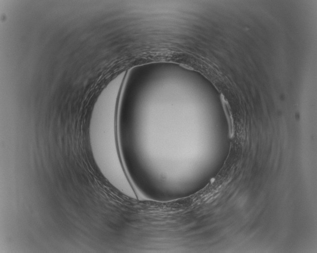X0000062880818200601131034