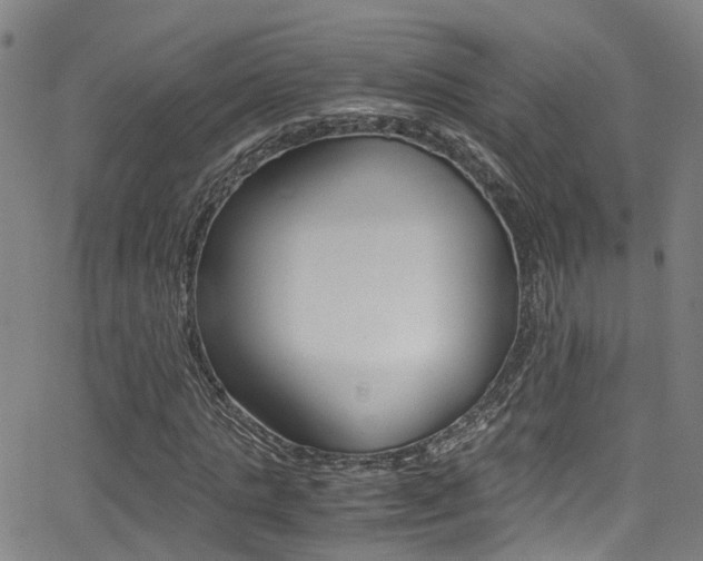X0000062880821200601131034