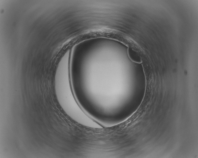 X0000062880822200601131034
