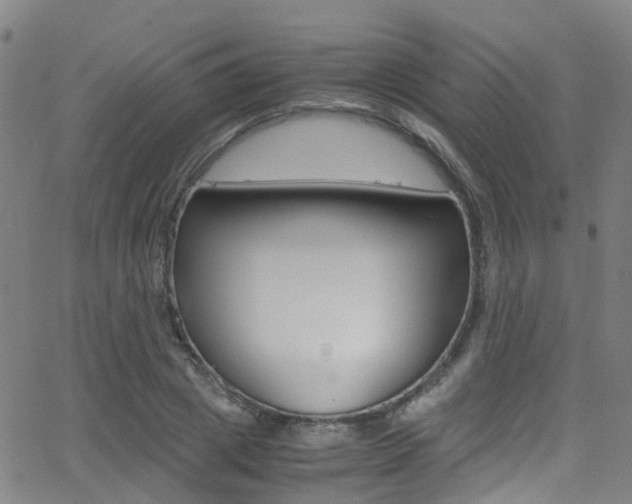 X0000062880833200601131034