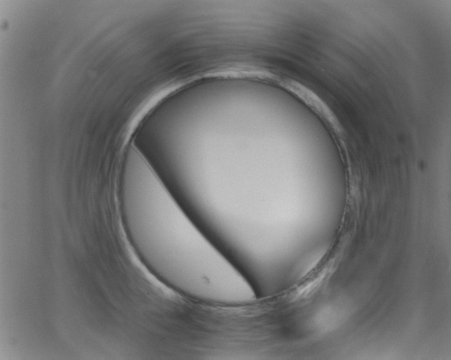 X0000062880855200601131035