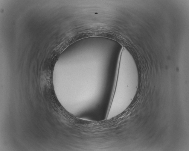 X0000062880867200601131034