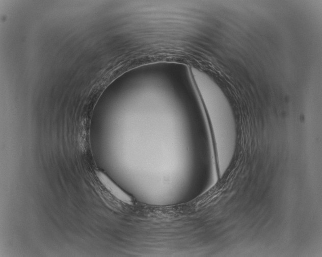X0000062880868200601131034