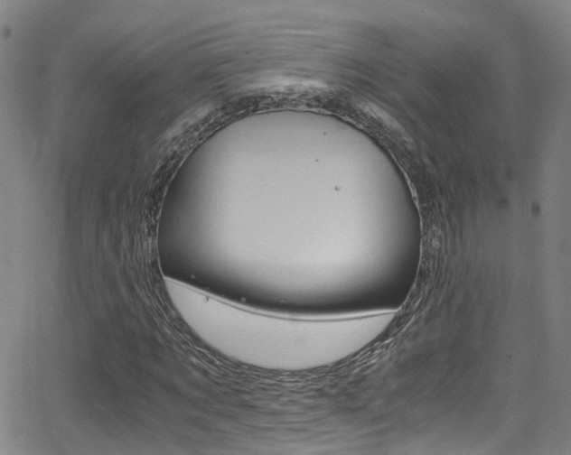 X0000062880869200601131034