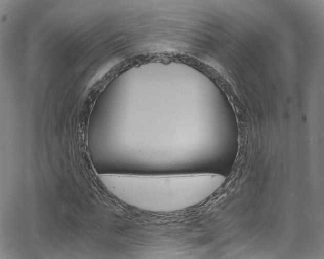 X0000062880871200601131034