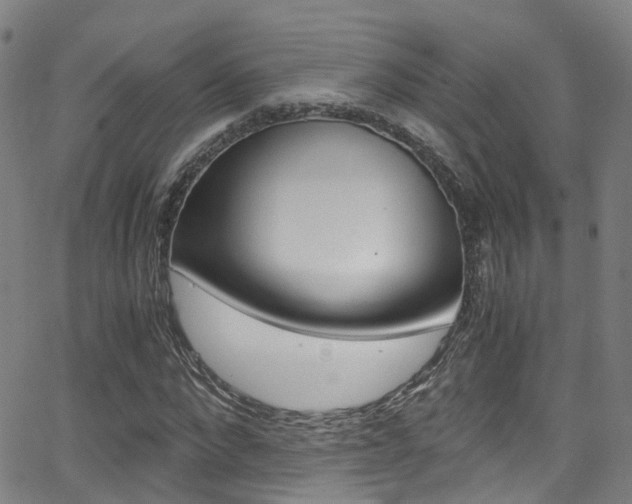 X0000062880872200601131034