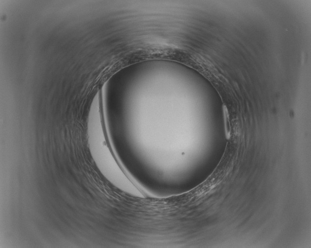 X0000062880916200601131033
