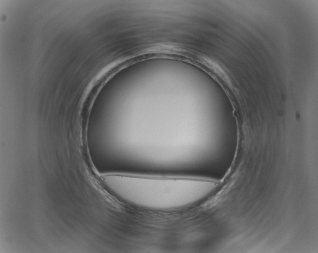 X0000062880931200601131033