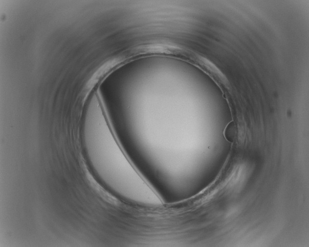 X0000062880938200601131033