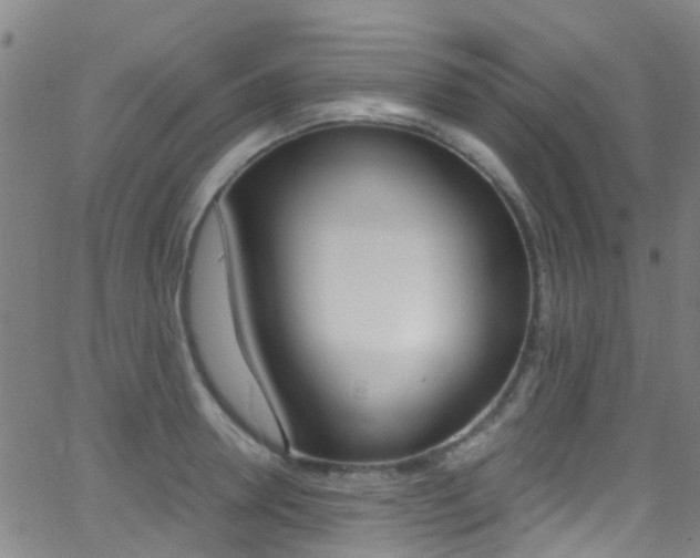 X0000062880946200601131033