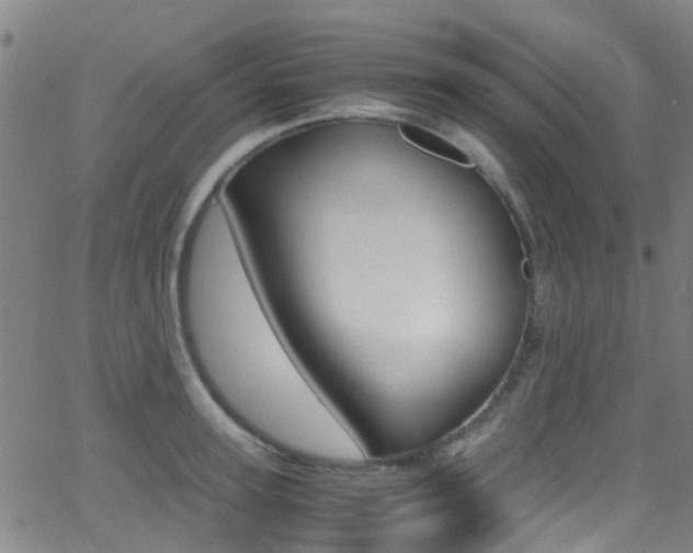 X0000062880947200601131033