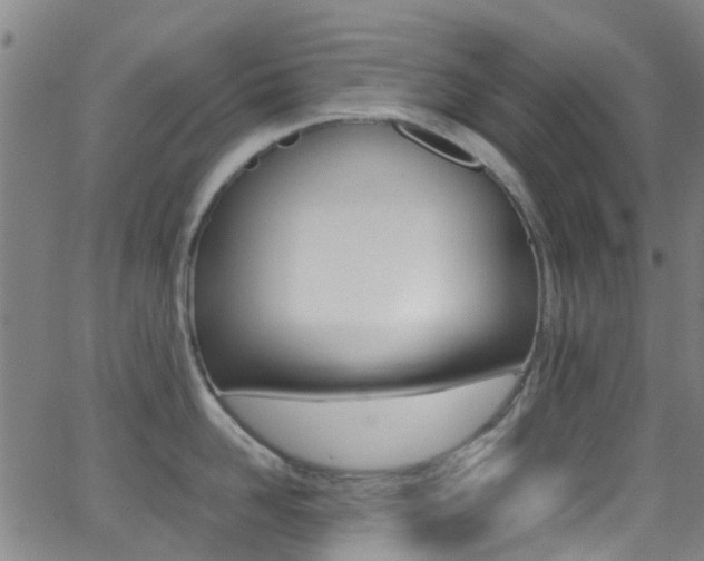 X0000062880958200601131033