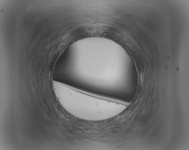 X0000062880963200601131032