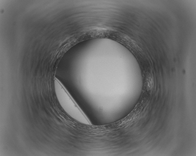 X0000062880964200601131032