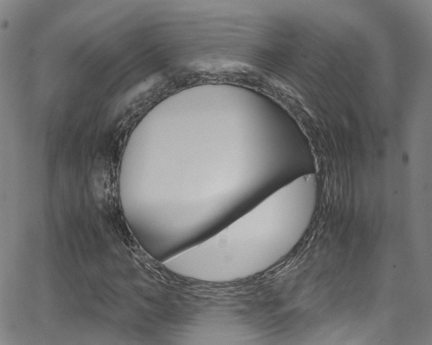 X0000062880966200601131032