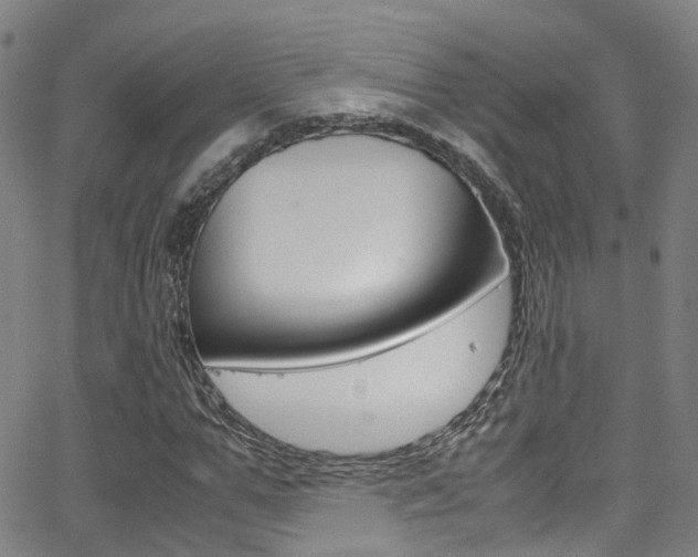 X0000062880967200601131032