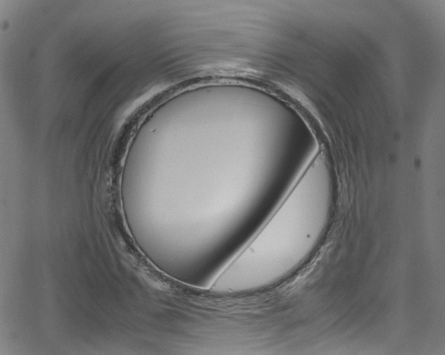 X0000062880971200601131032