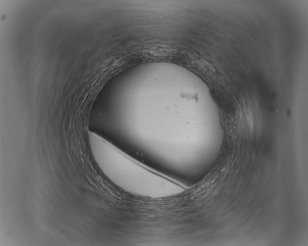 X0000062881009200601131031