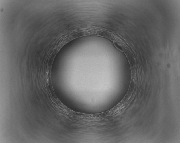 X0000062881010200601131031
