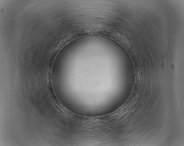 X0000062881012200601131031