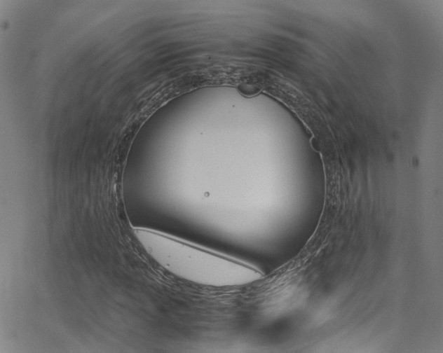 X0000062881013200601131031