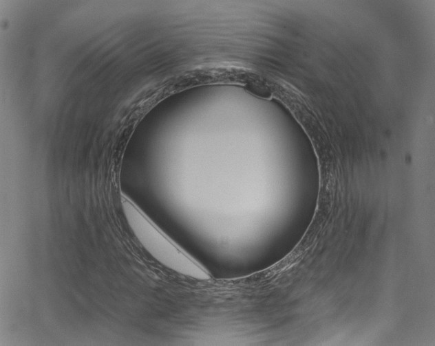 X0000062881014200601131031