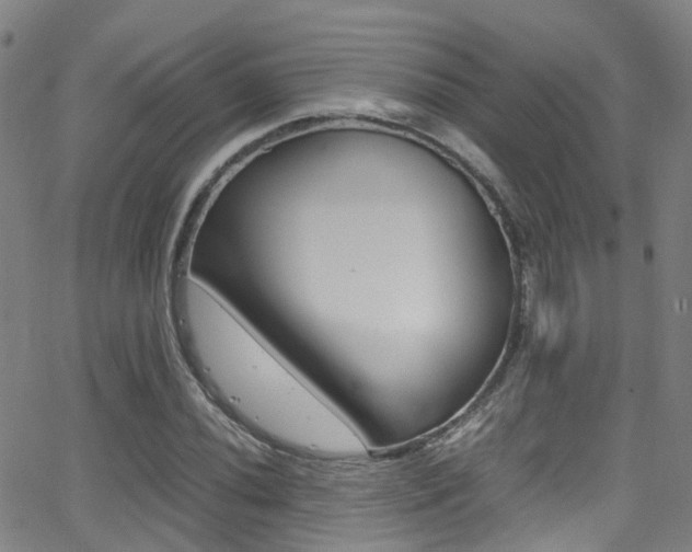 X0000062881020200601131031