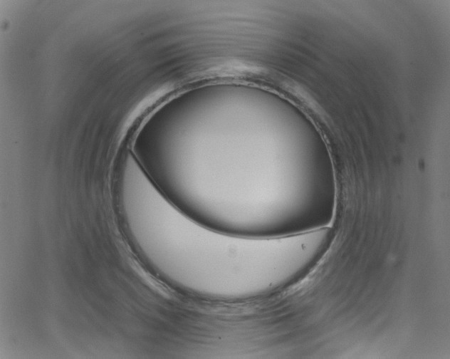 X0000062881026200601131031